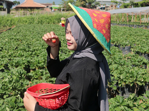 Lumbung Stoberi