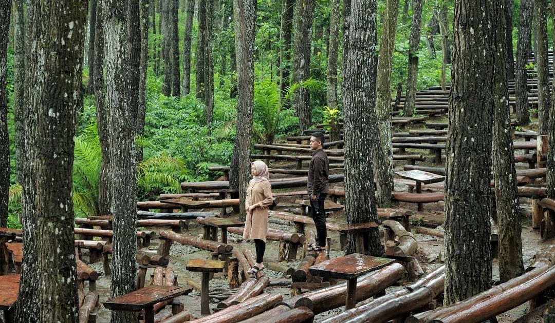 Tempat Kencan di Yogyakarta - Hutan Pinus Imogiri