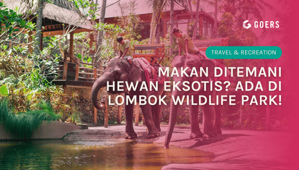 Makan Ditemani Hewan Eksotis? Ada di Lombok Wildlife Park! Featured Image Lombok Wildlife Park