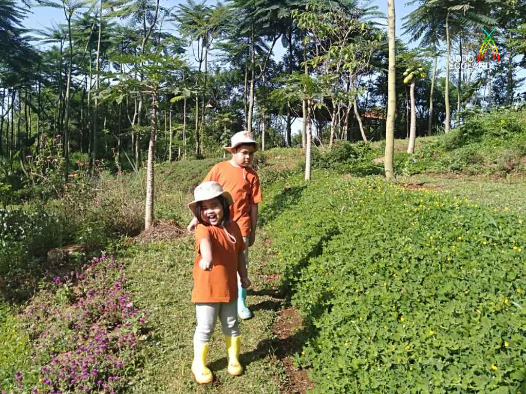 Argo Walk Udjo