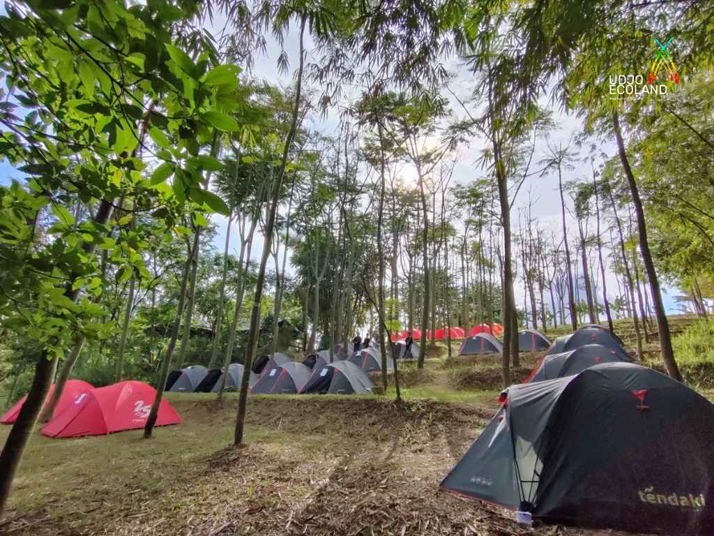 udjo camp