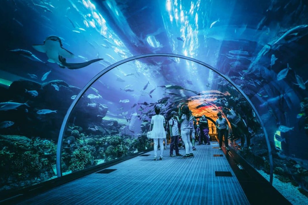 Tempat Wisata Anak di Jakarta Jakarta Aquarium