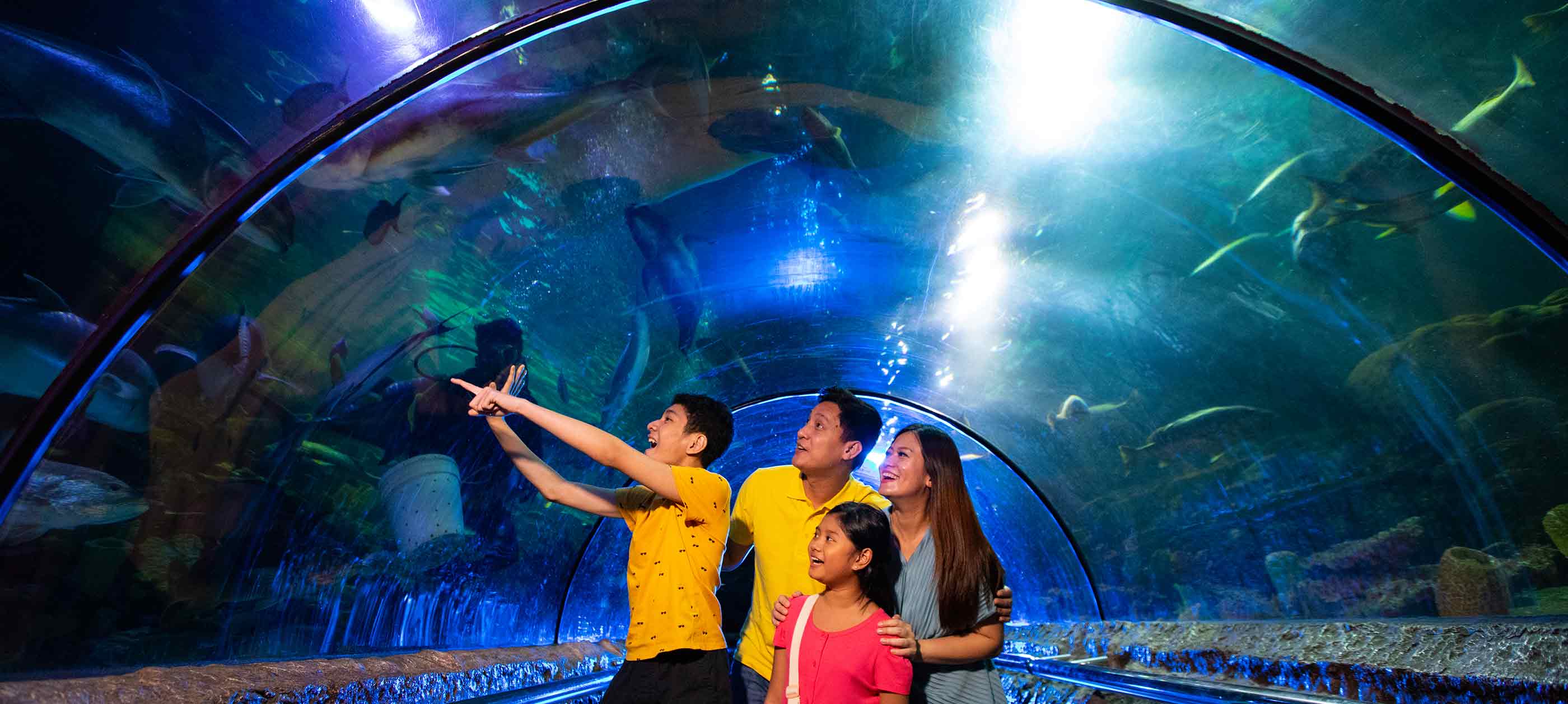 Tempat wisata anak di jakarta sea world ancol