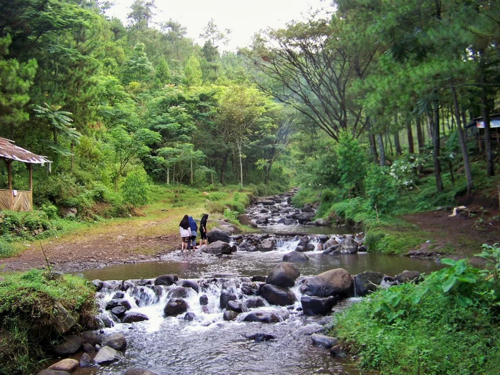 wisata di bumi perkemahan Bedengan Selorejo