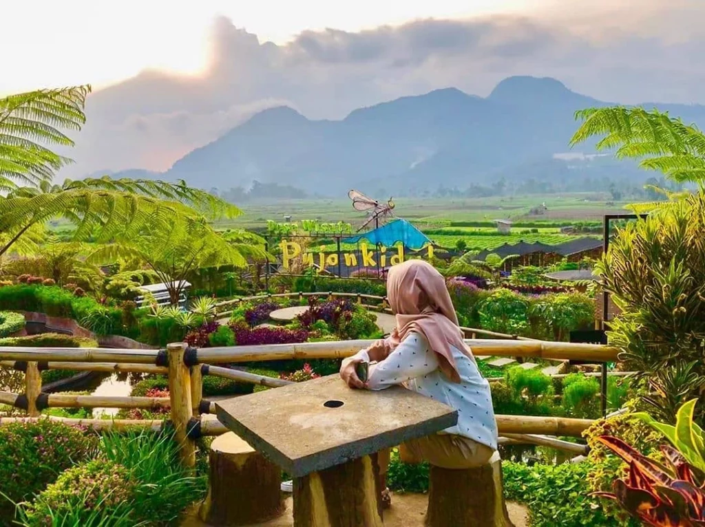 Rekomendasi kafe - Cafe Sawah Pujon Kidul