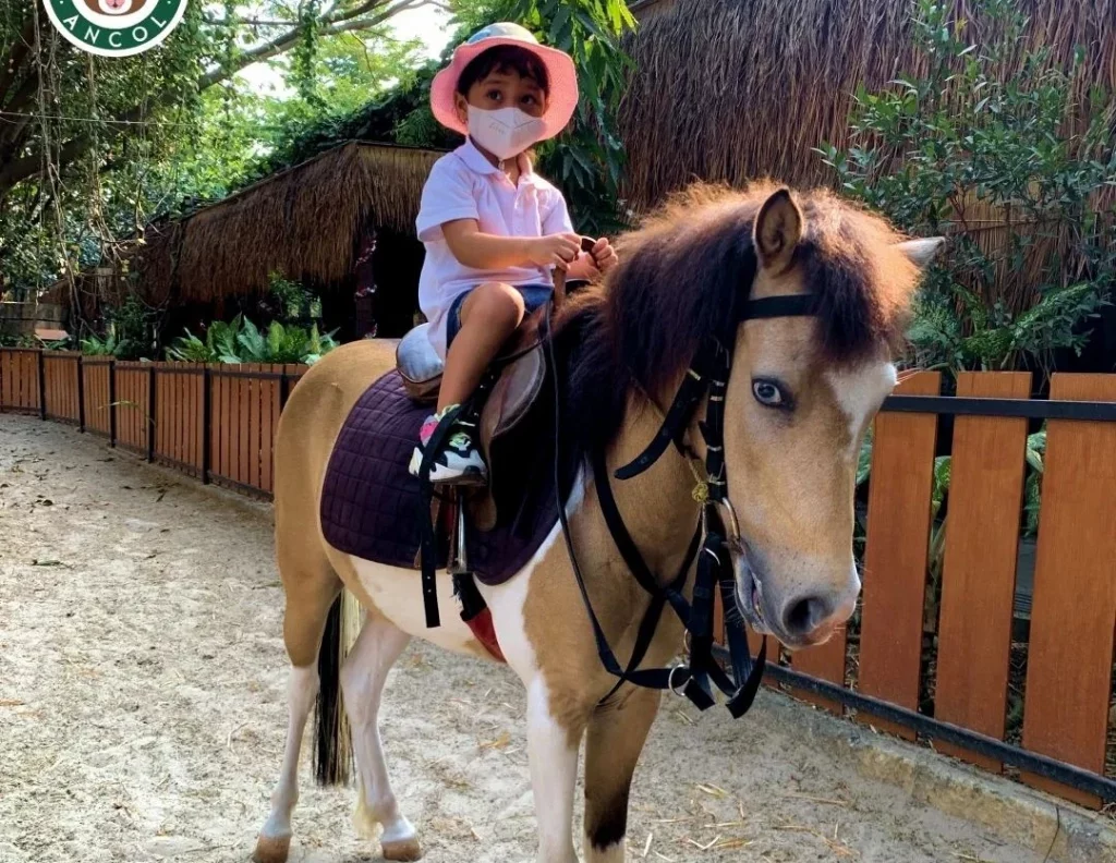 Harga tiket murah faunaland ancol