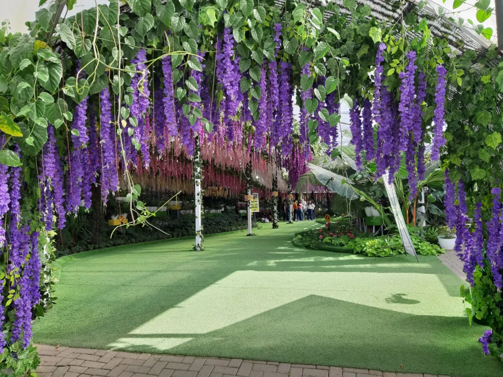 Flora Wisata Senterra de Laponte di kota pujon