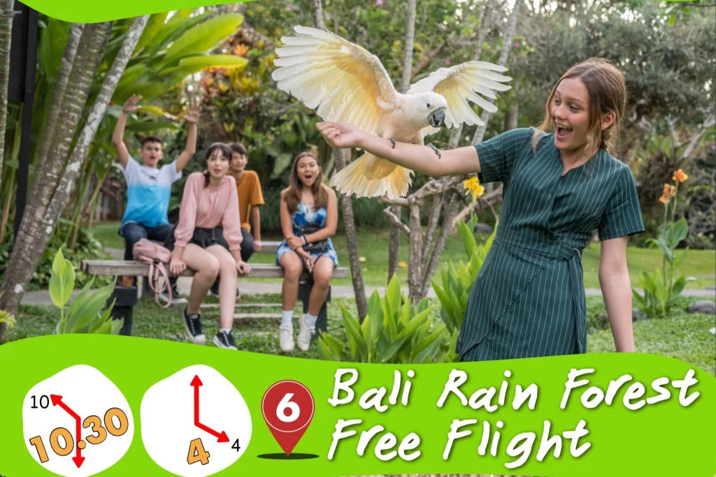 Pertunjukan di Bali Bird Park