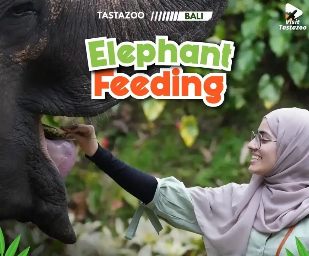 Harga dan wahana di Tasta Zoo Bali 2024