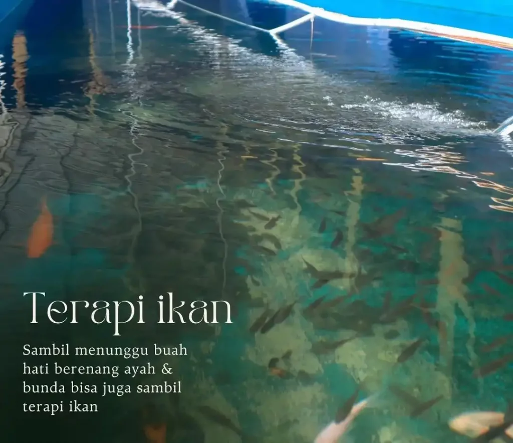Kolam Terapi Ikan Taman Batu Hanjuang