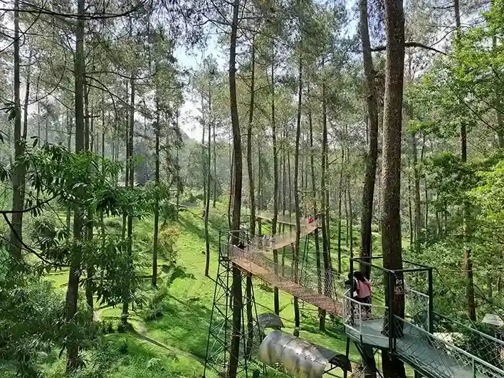 Tempat wisata favorit di Bandung - Orchid Forest Cikole
