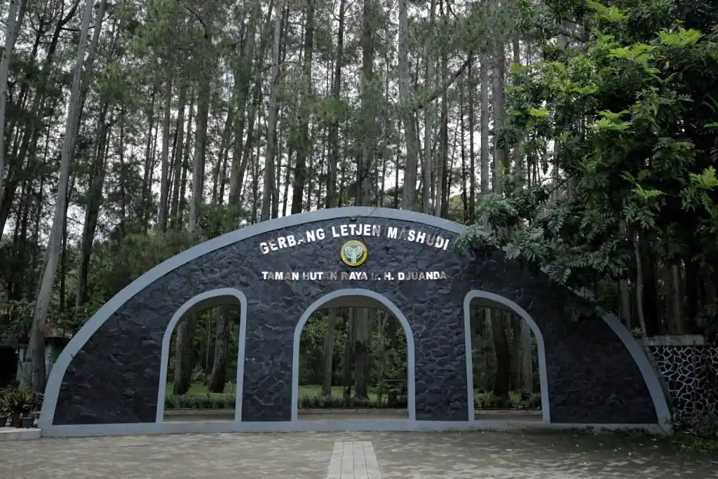 Konservasi Cantik di Bandung - Taman Hutan Raya Ir. H. Djuanda (Tahura)