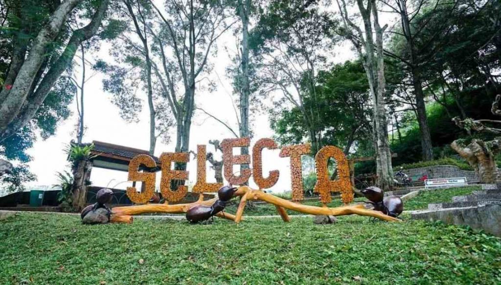 Taman Rekreaksi Selecta Batu