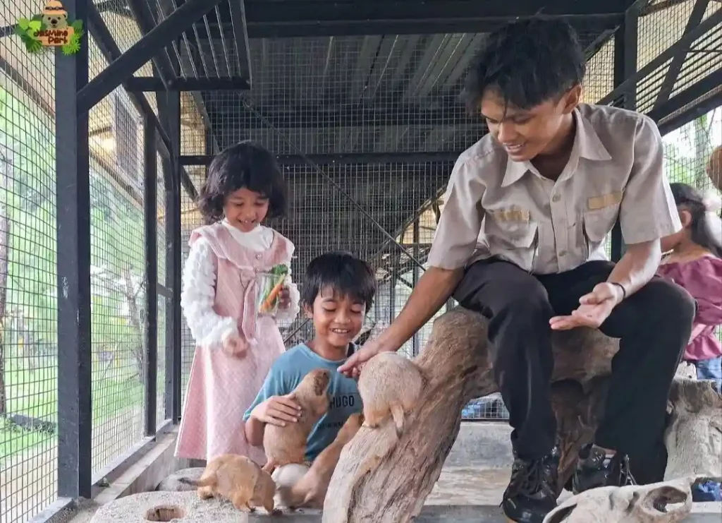 Mini Zoo Viral di Tangerang - Jasmine Park