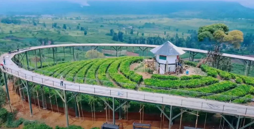 Nimo Highland harga tiket dibandrol dari Rp 25,000