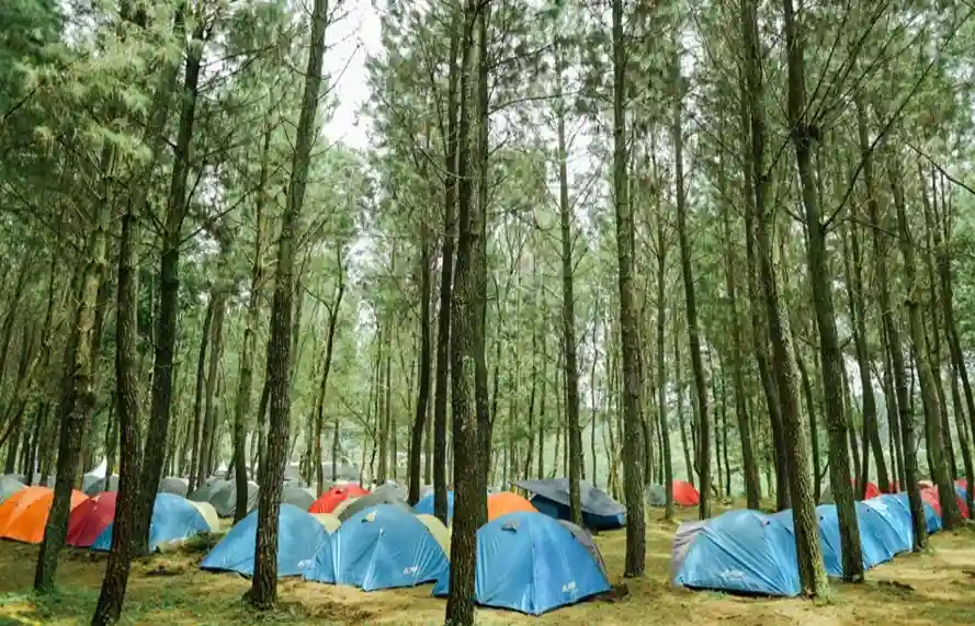 Rekomendasi wisata keluarga di Banyuwangi