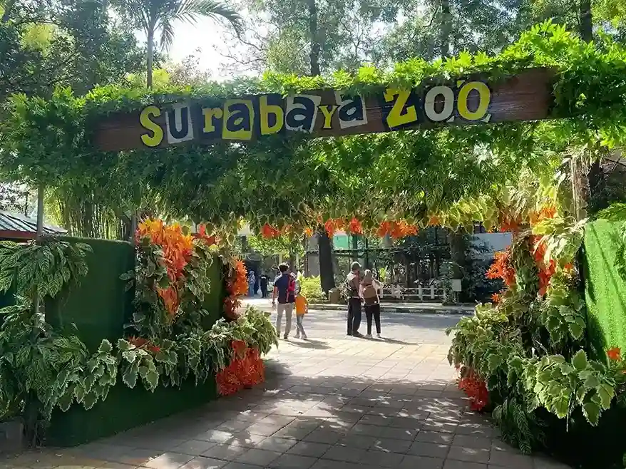 Kebun Binatangdi Surabaya