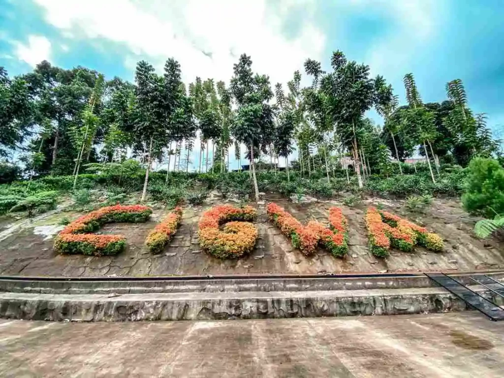 Wisata tanam sayur di Bogor- Cisarua Green World