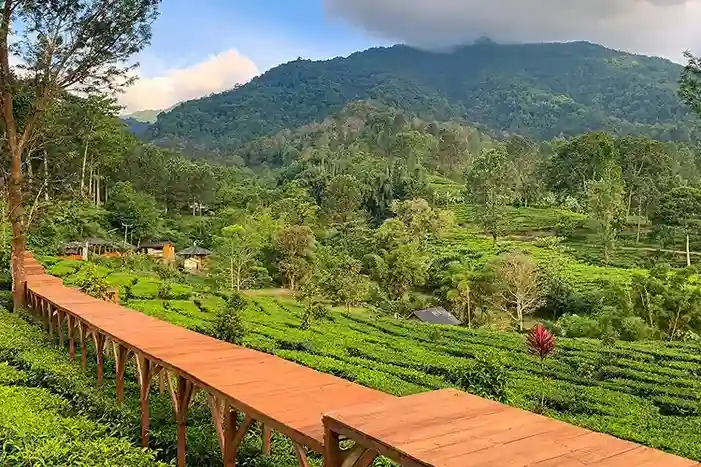 Wisata Berkuda Bogor - Gunung Mas