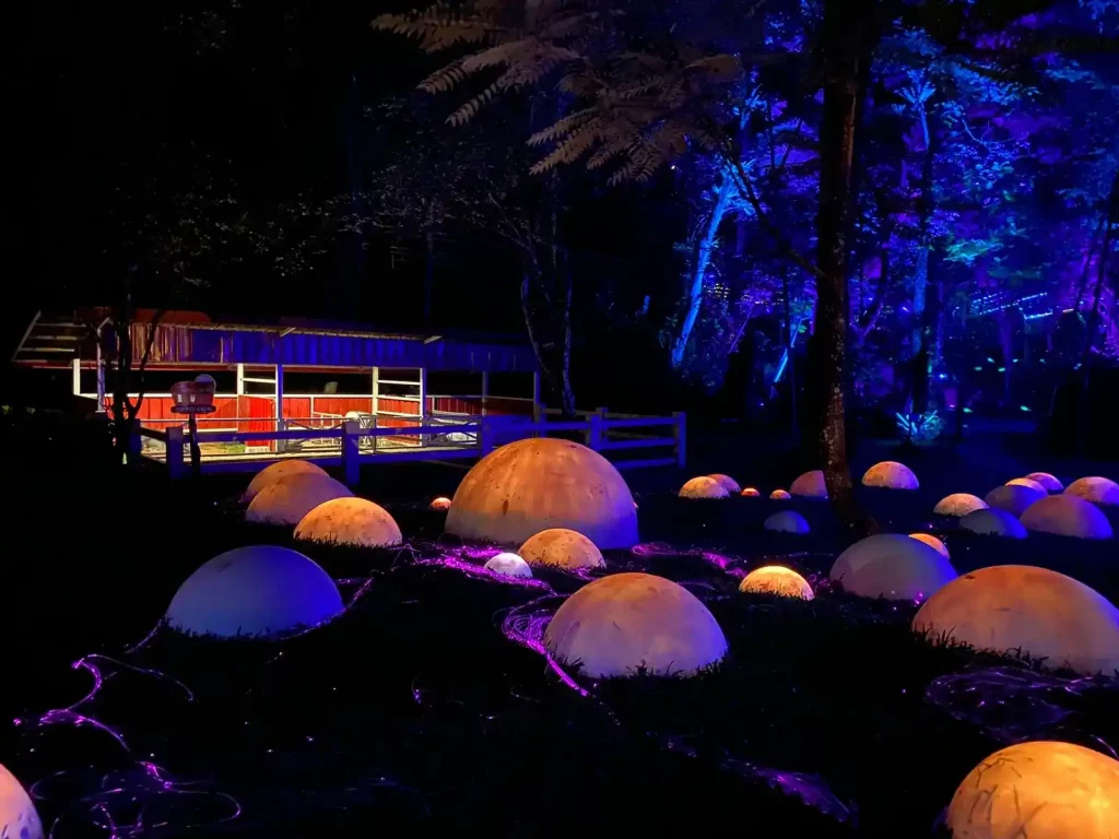 Tempat Ngedate Bogor - Hutan Menyala Daiyland Riverside