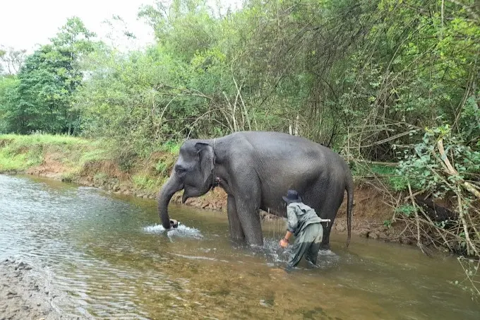 Taman Nasional Bukit Barisan selatan Lampung