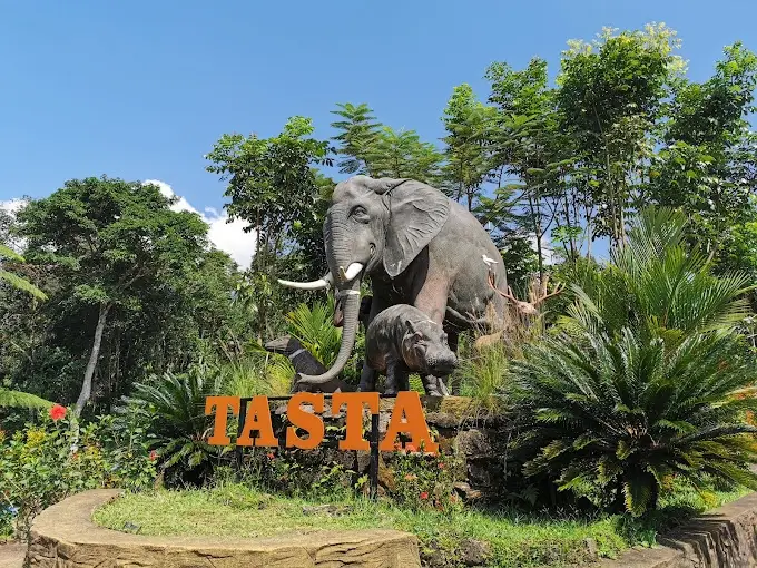 Tasta Zoo