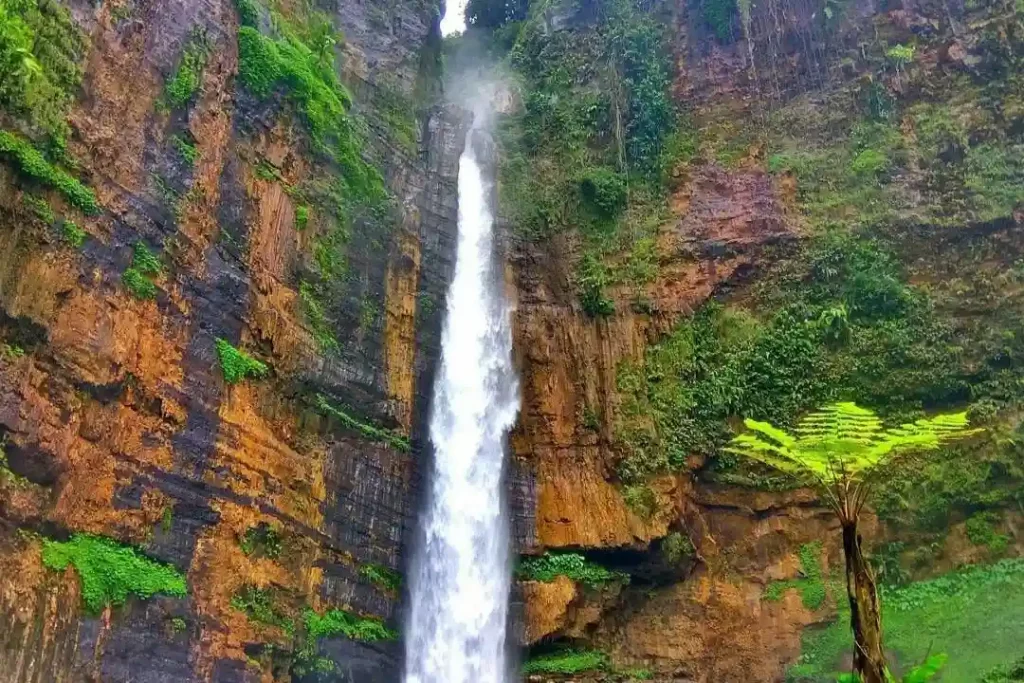 Air Terjun Kapas Biru Lumajang