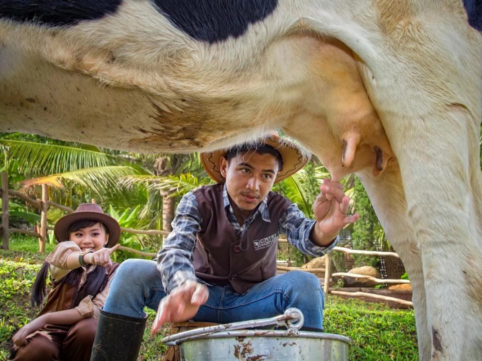 Wisata Anak Semarang di Cimory on The Valley Ungaran