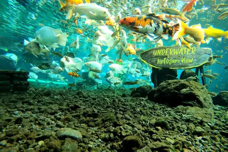 Pemandian Tirtosari View