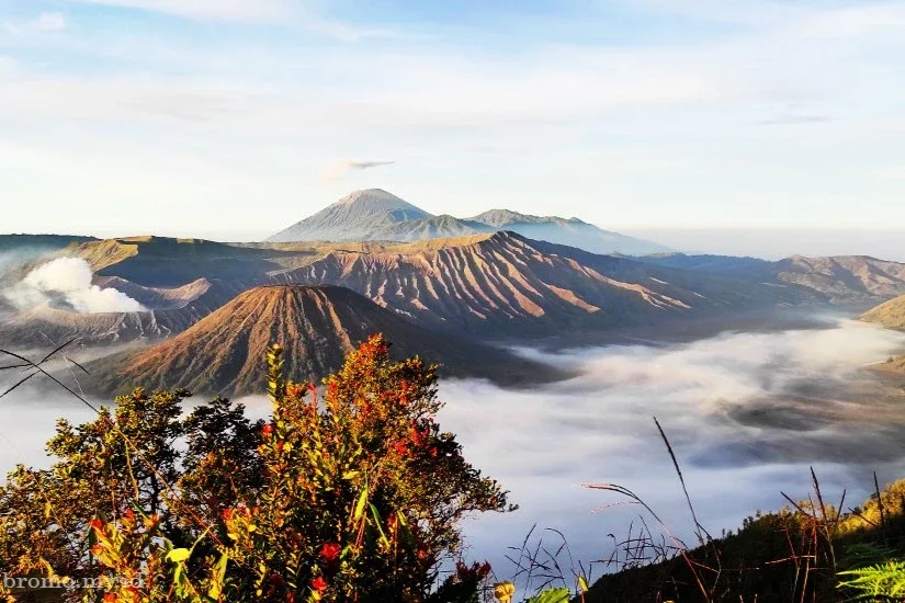 Penanjakan 1 Gunung Bromo