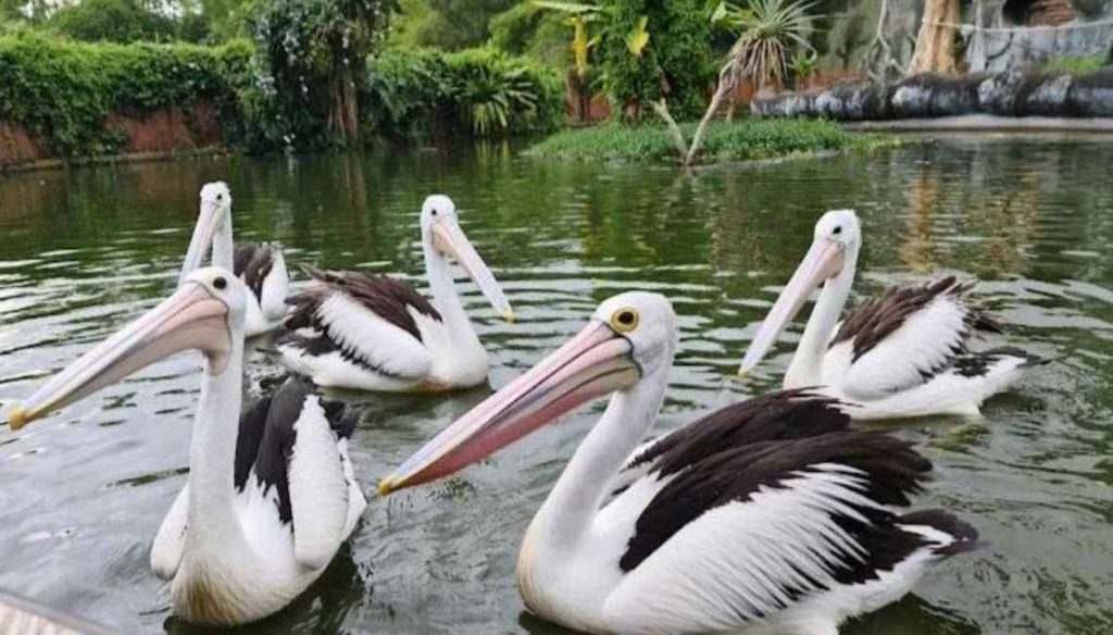 Eco Green Park Batu Malang