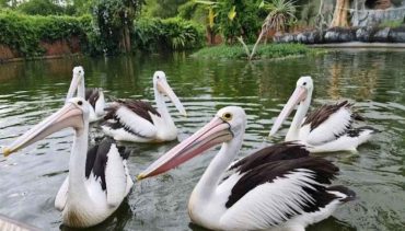 Eco Green Park Batu Malang