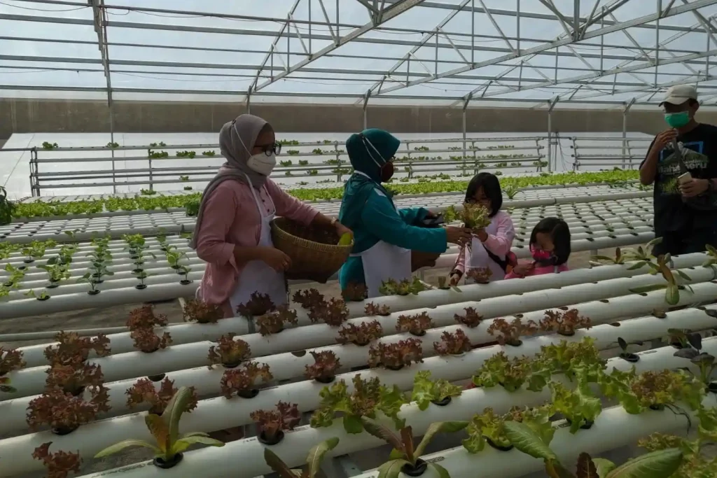 Edufarm Lembah Indah Malang