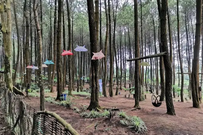 Precet Forest Park