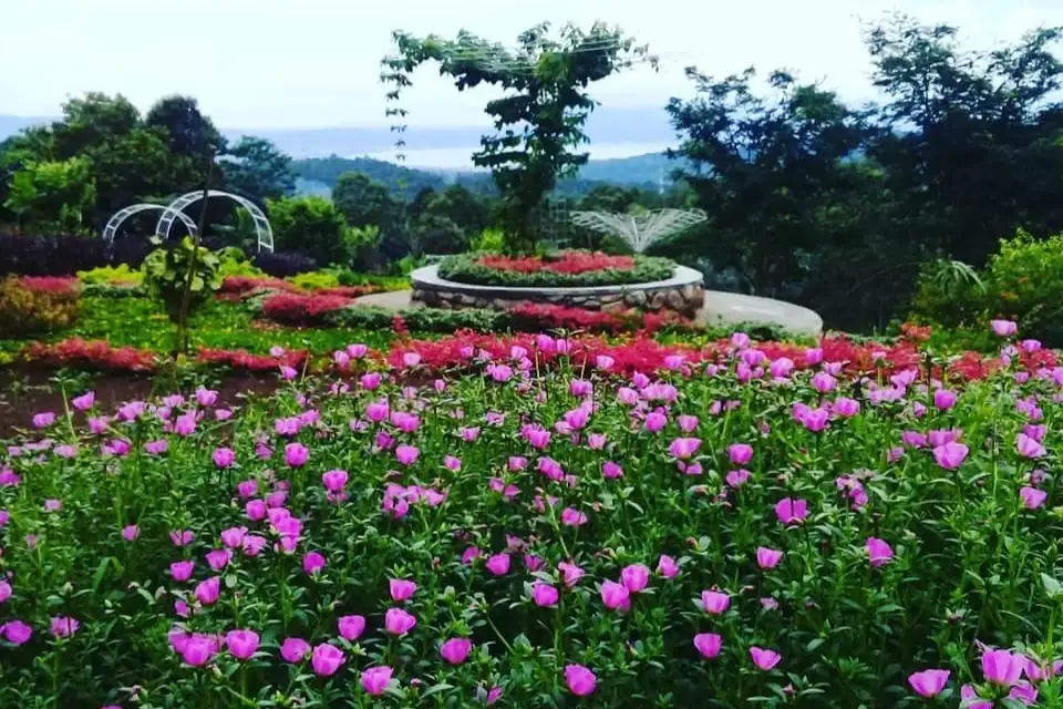 Taman Bunga dengan Rumput yang Hijau di Bandar Lampung