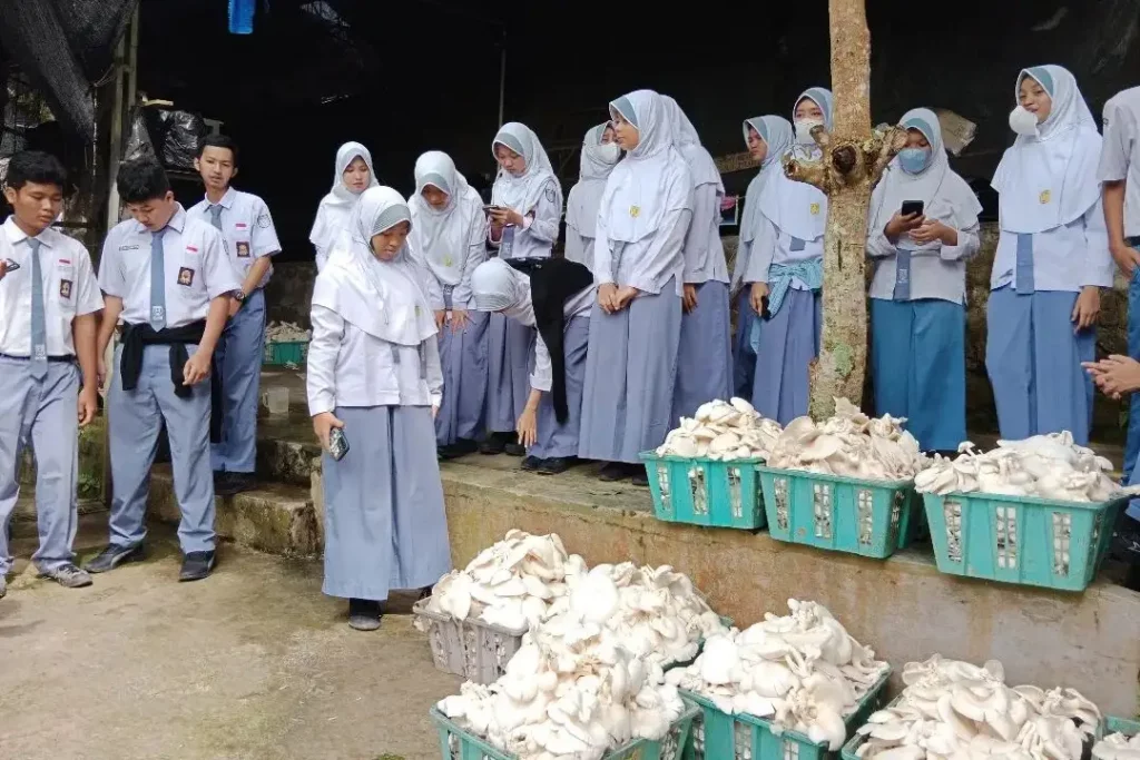 Wahana Edukasi Jamur Bandar Lampung