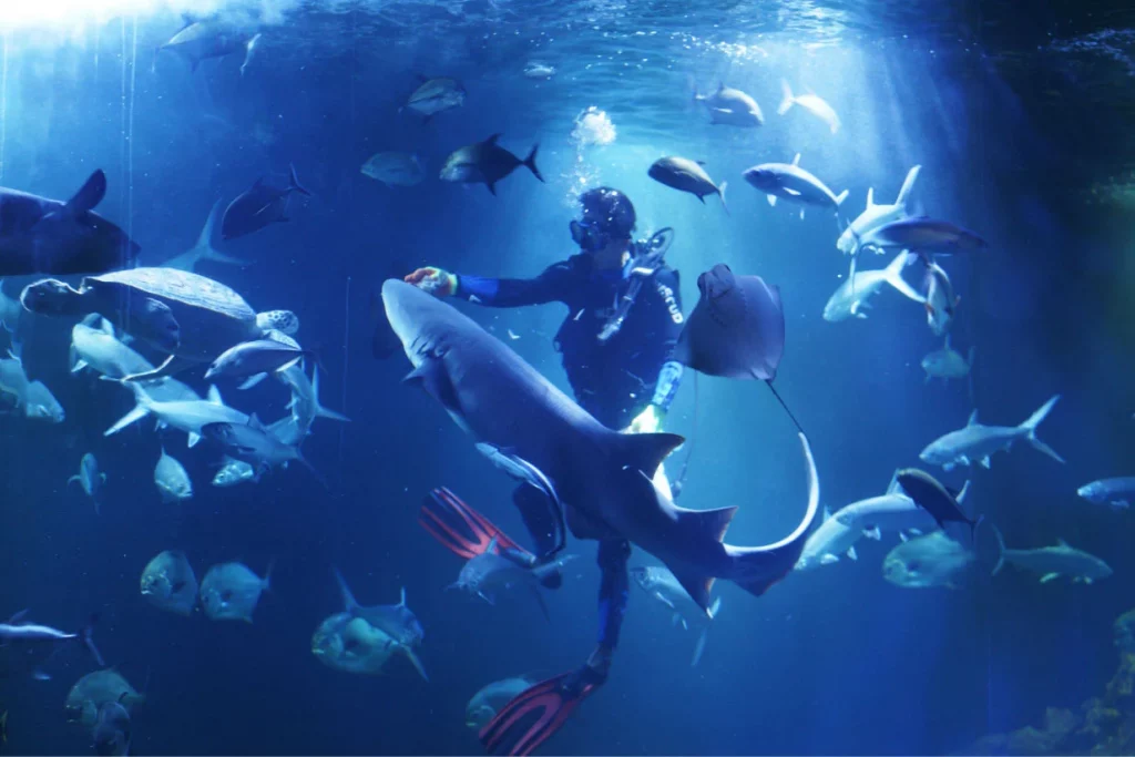 Aquarium Indonesia Pangandaran