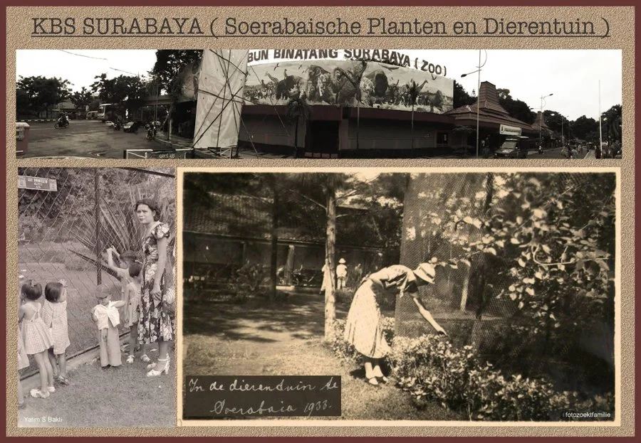 Sejarah Kebun Binatang Surabaya