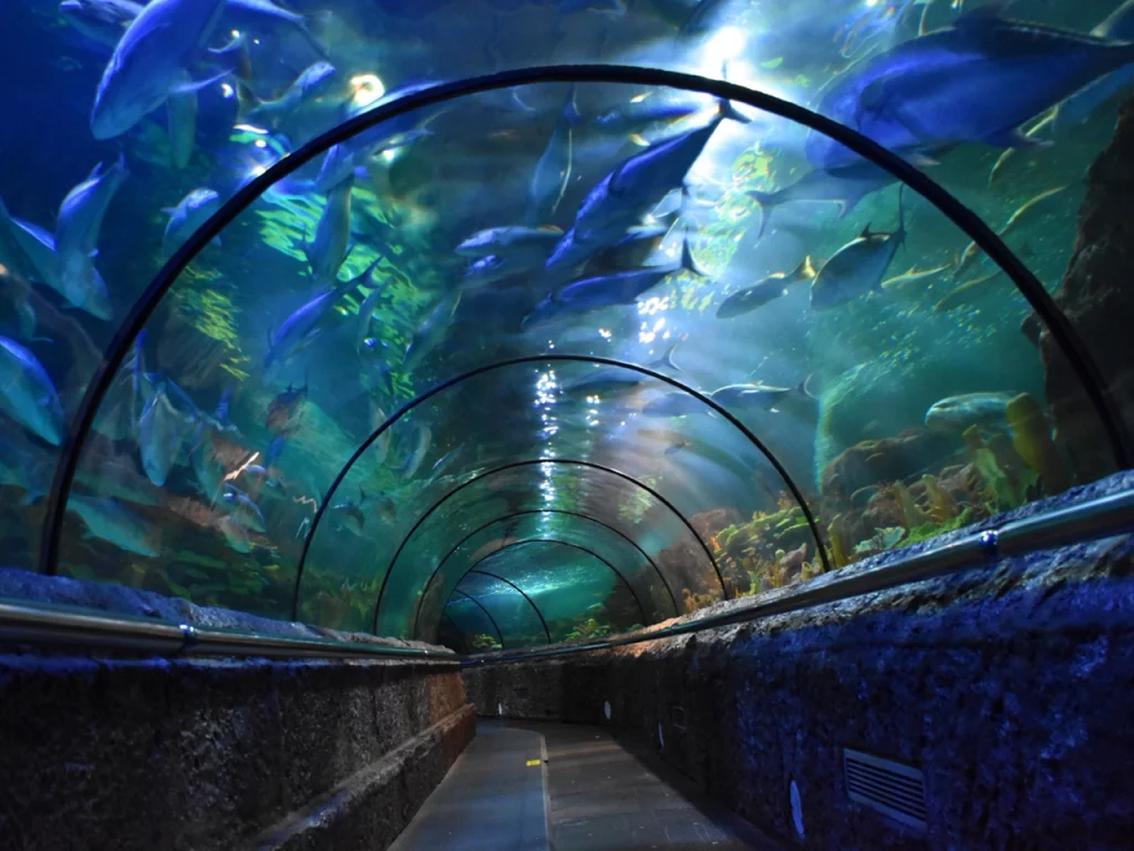 Sea World