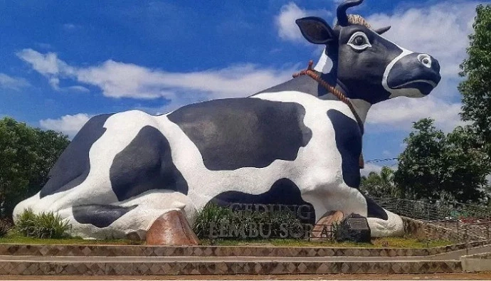 Wisata Boyolali ke Argowisata Sapi Perah Cepogo