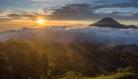 Bukit Sikunir  Wonosobo