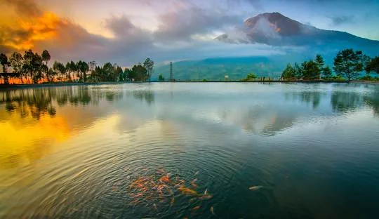 Embung Kledung Wonosobo