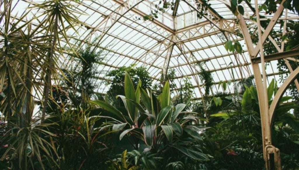 Habitat Park SCBD: Taman, Mini Zoo, dan Cafe Baru di SCBD Habitat Park SCBD