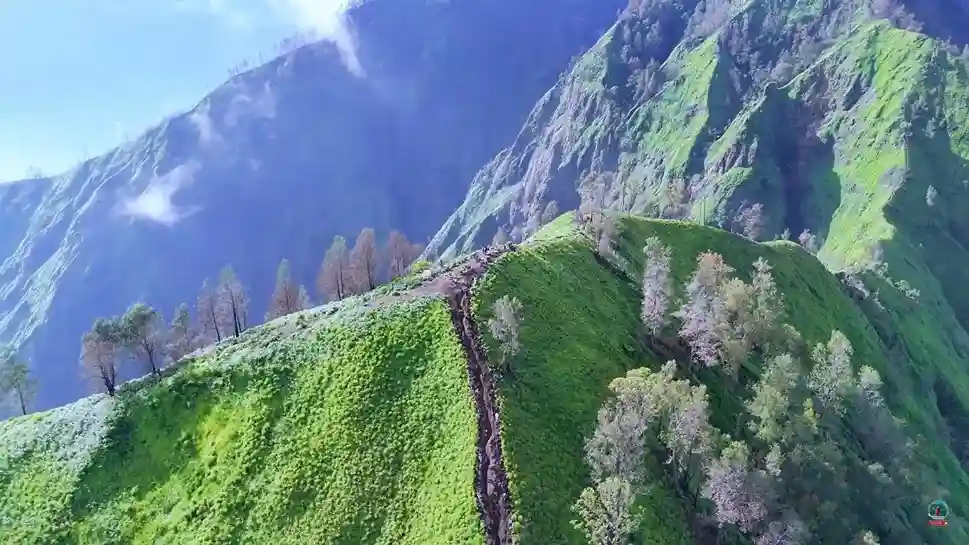 Tempat wisata kintamani - puncak indrakila trunyan