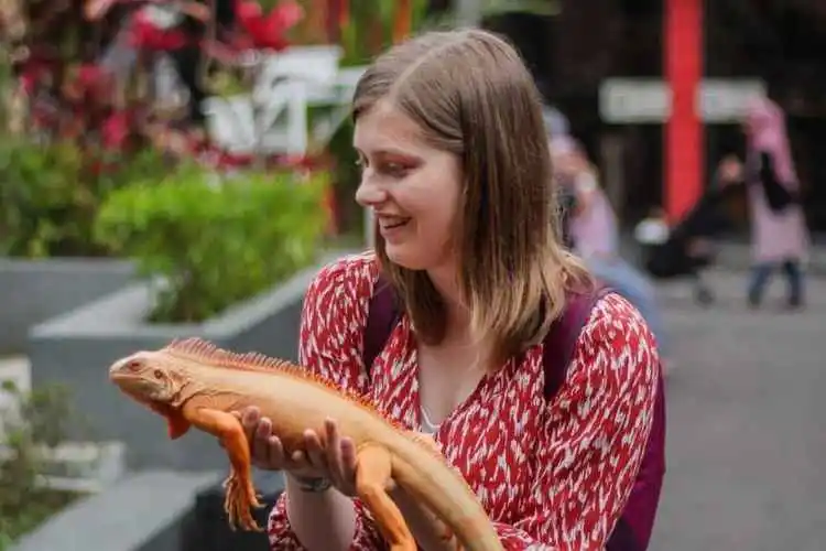 Suraloka Interactive Zoo