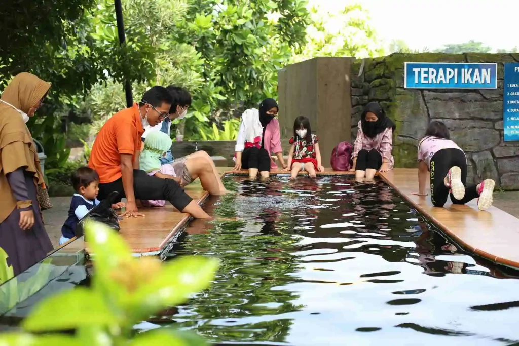 Terapi Ikan di Kebun Binatang Gembira Loka