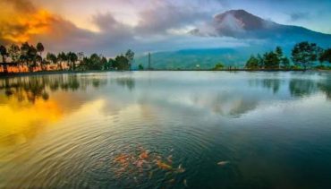 Wisata Wonosobo Terupdate 2024