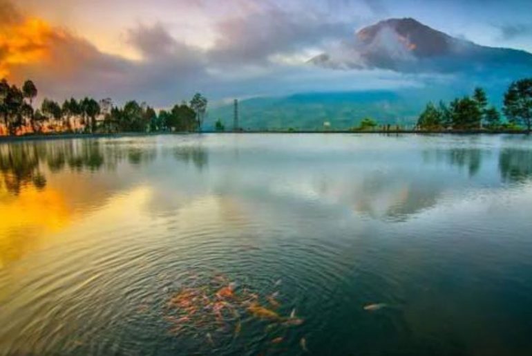 Wisata Wonosobo Terupdate 2024