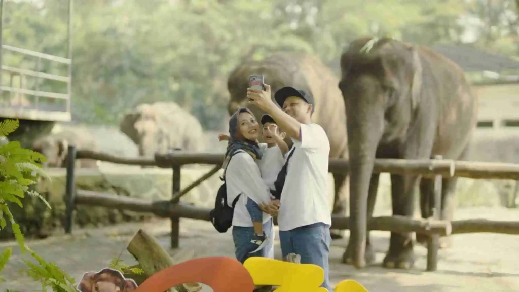 Interaksi Gajah di Gembira Loka Zoo