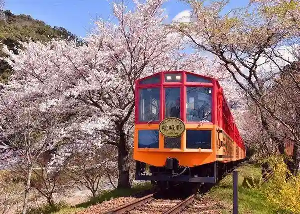 Sagano Romantic Train, Kyoto Jepang